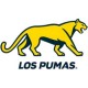 Argentina Los Pumas