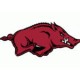 Arkansas Razorbacks