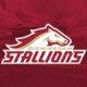 Birmingham Stallions