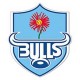 Bulls