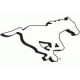 Calgary Stampeders