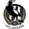 Collingwood Magpies