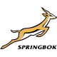 South Africa Springboks
