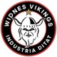 Widnes Vikings