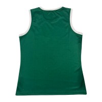 Ireland 2024/25 Rugby Training Jersey