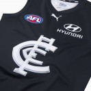 Carlton Blues 2025 Indigenous Guernsey
