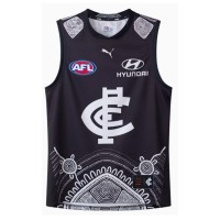 Carlton Blues 2025 Indigenous Guernsey