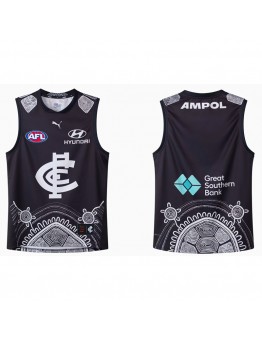 Carlton Blues 2025 Indigenous Guernsey