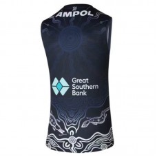 Carlton Blues 2024 Indigenous Guernsey