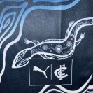 Carlton Blues 2024 Indigenous Guernsey